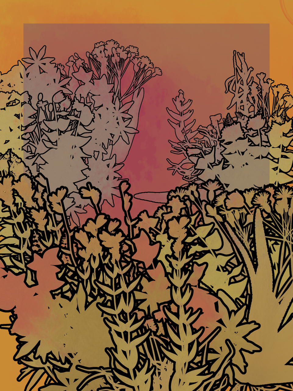Ephemera #17