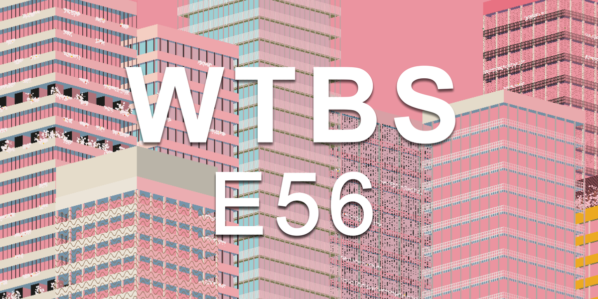 E56 - Schrodinger Moment