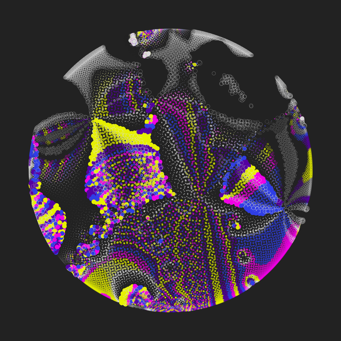 Still C #2079