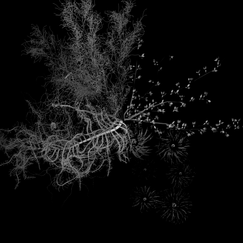 Botanical Ghosts #354