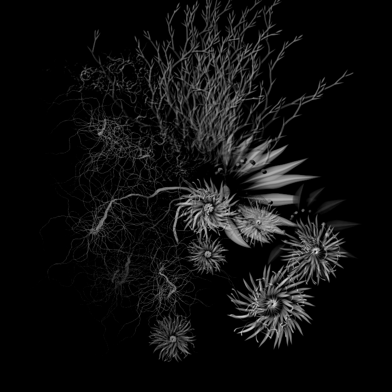 Botanical Ghosts #248