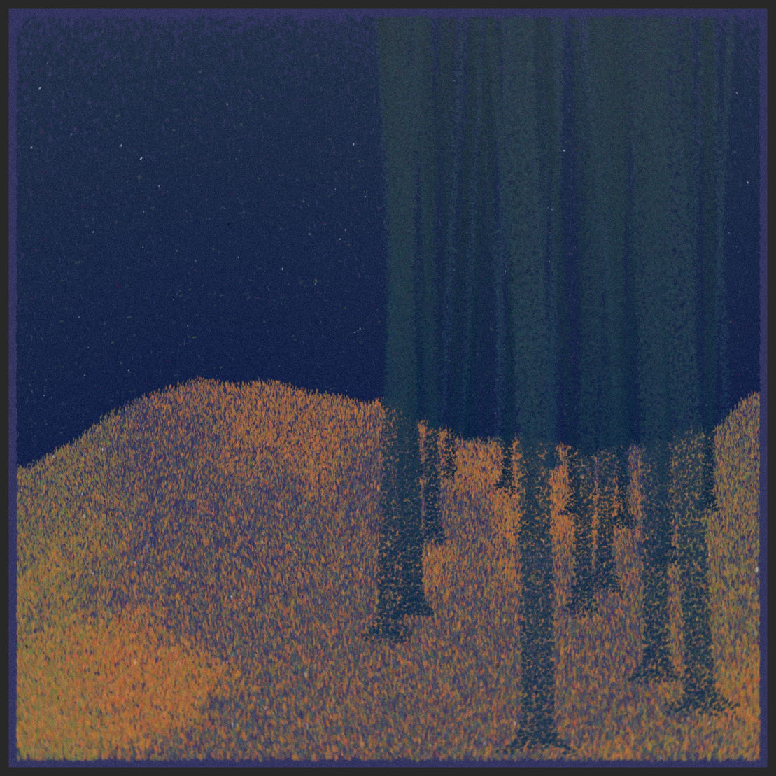 forest #56