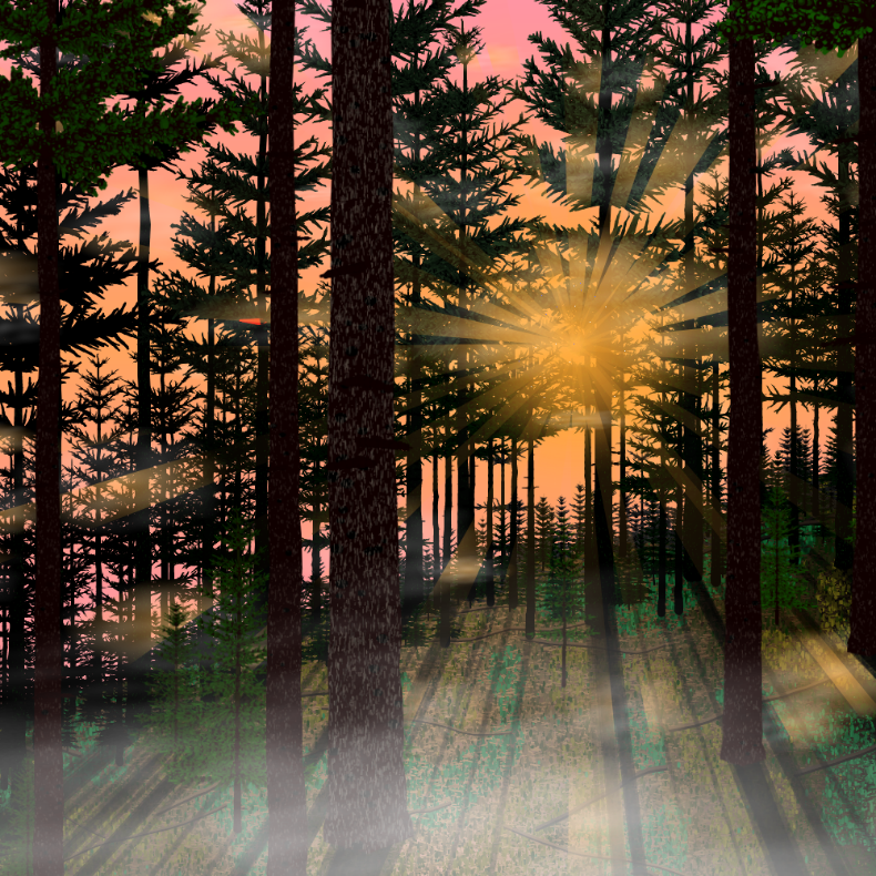 Forest Sunrise #30