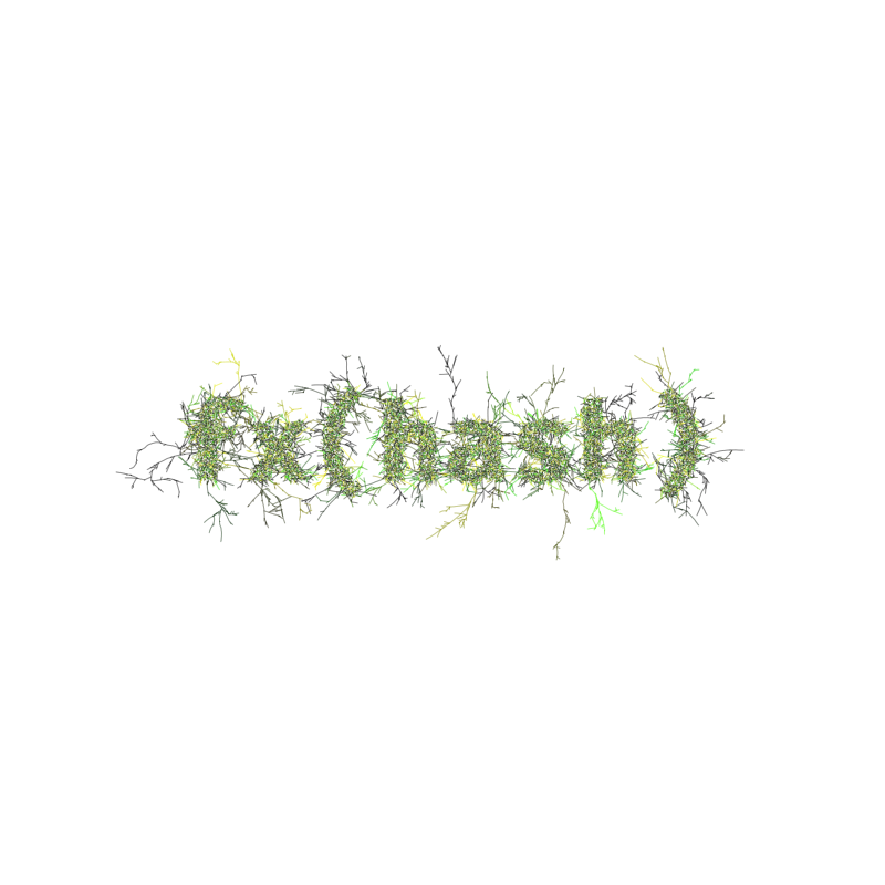 FXHASH Logo with Features #911