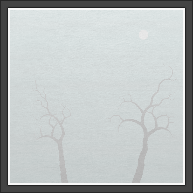 The Foggy Trees #45