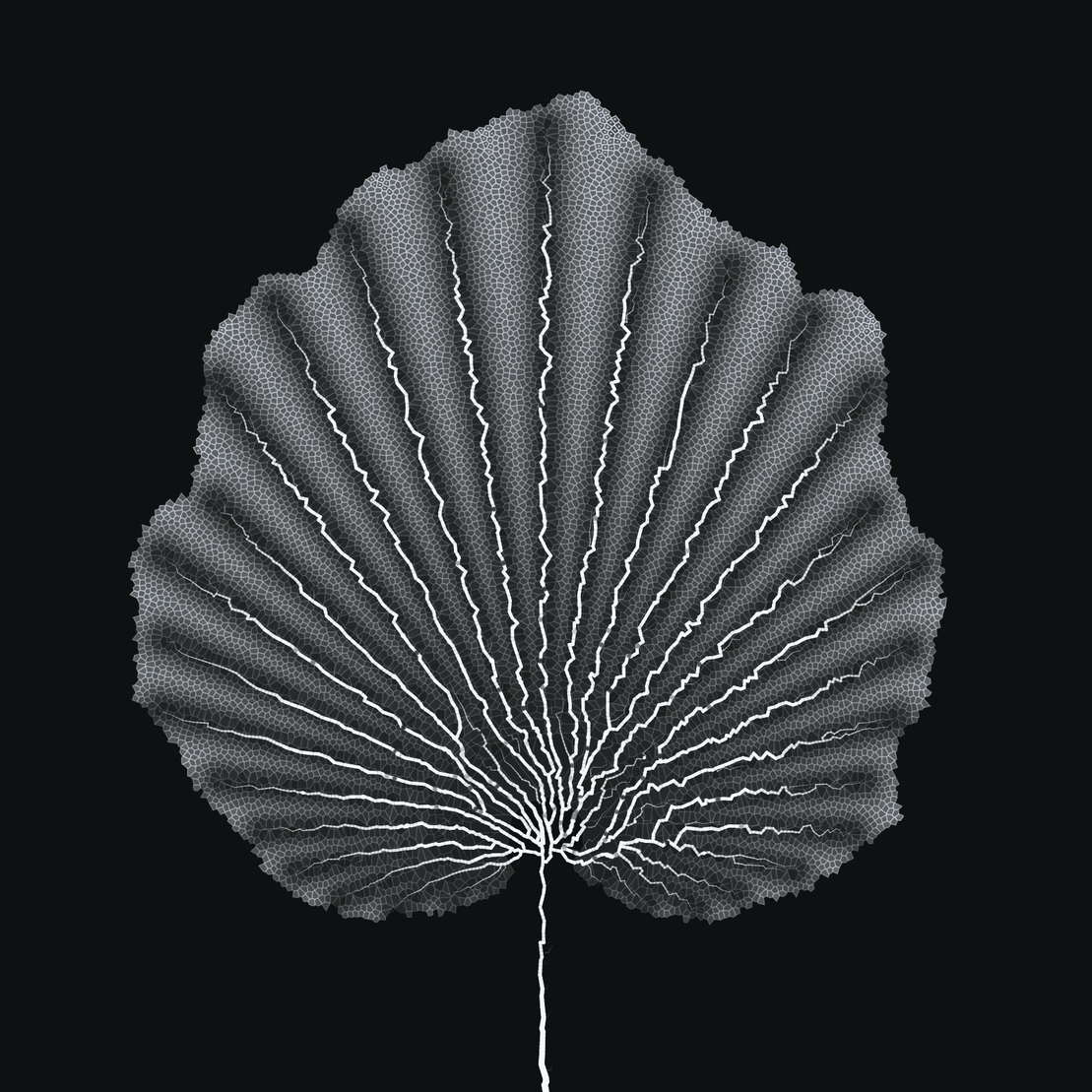 Leaf study #22