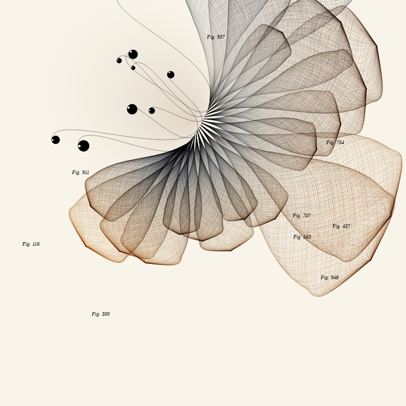 Herbarium #72