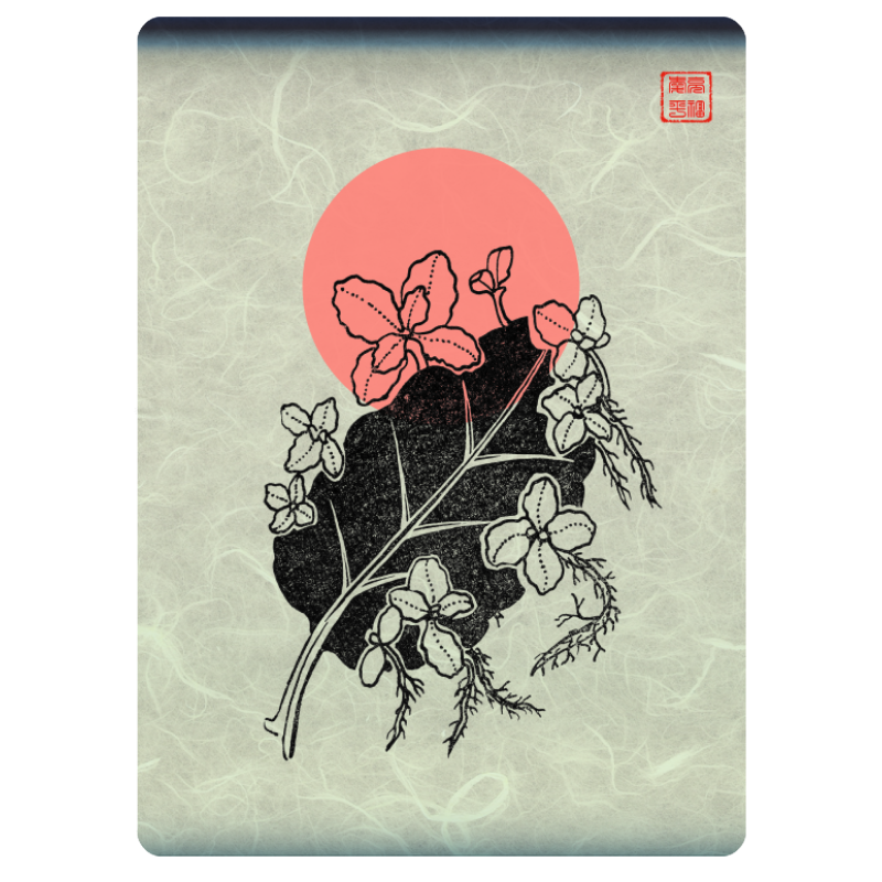 Zen flower card  #48