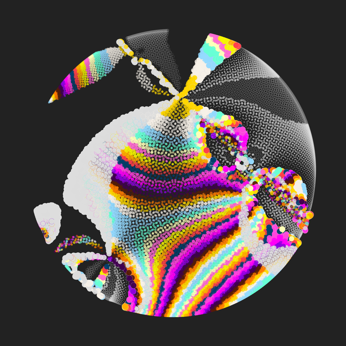 Still C #17262