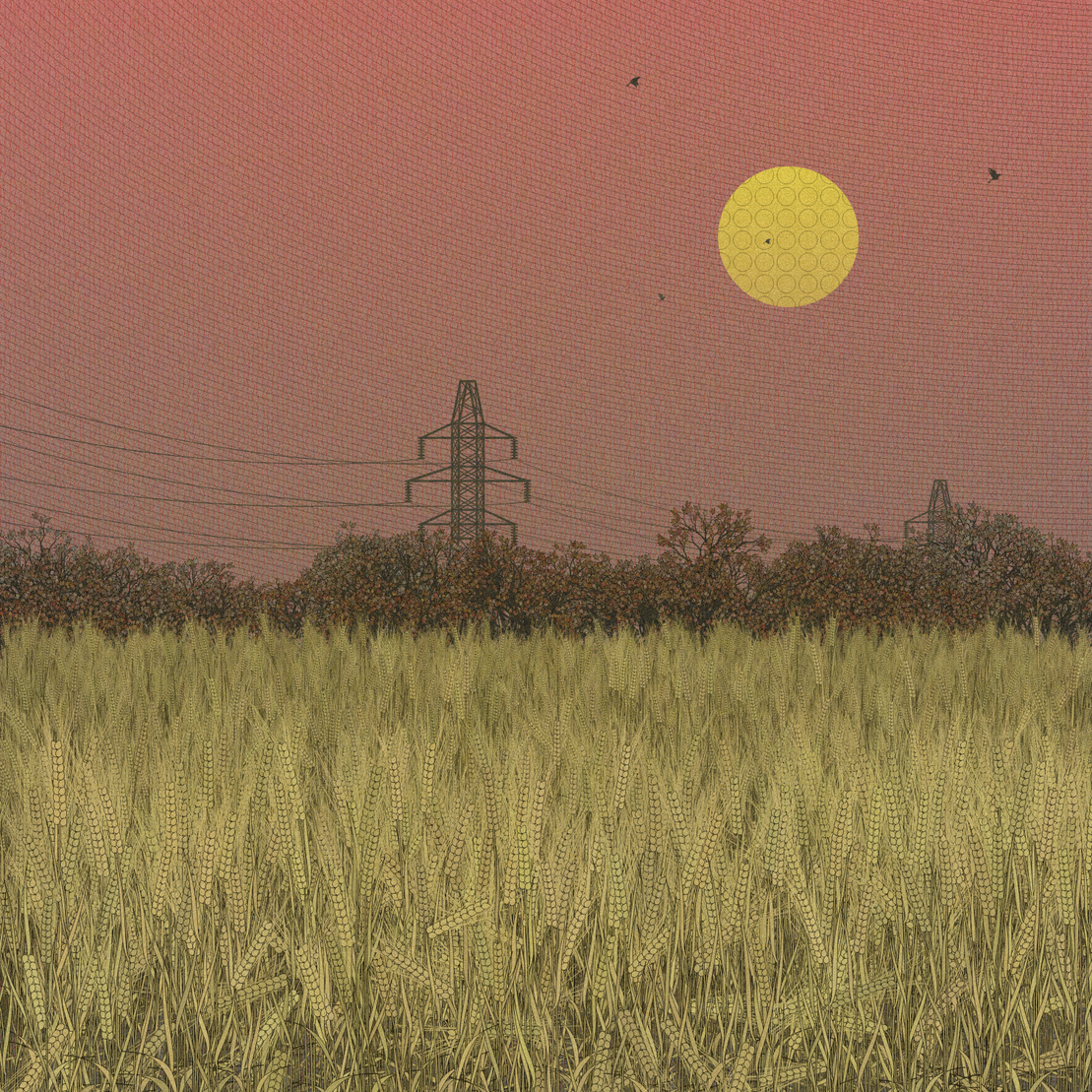 Fields of the Abandoned Homeland #97