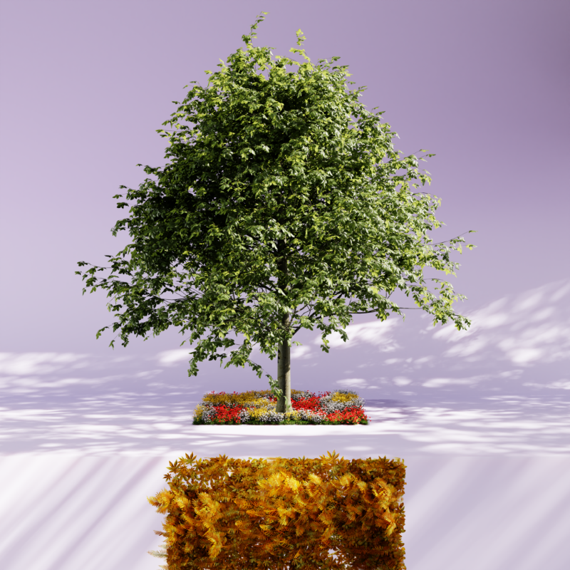 Nature rooms #35