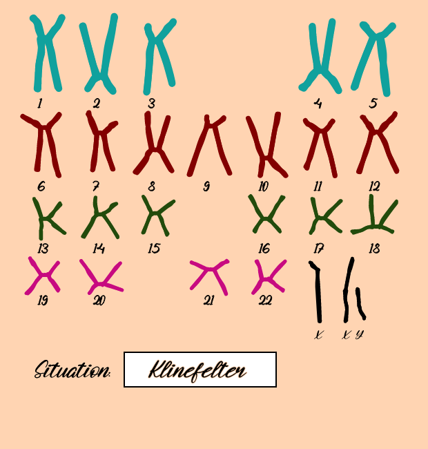 "Karyotype" #6