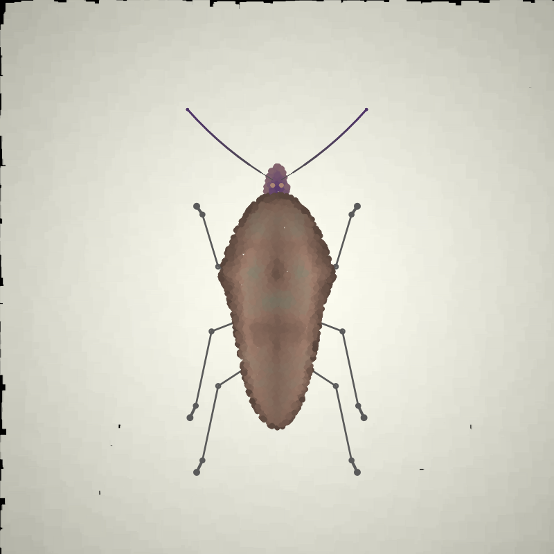 Beetle Sketches #10