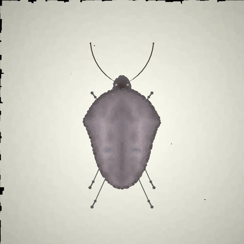 Beetle Sketches #7