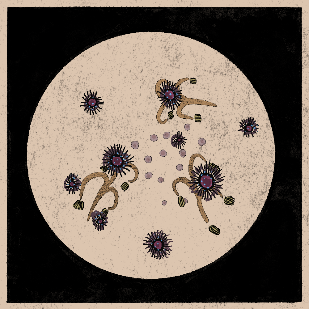 Microbes #237