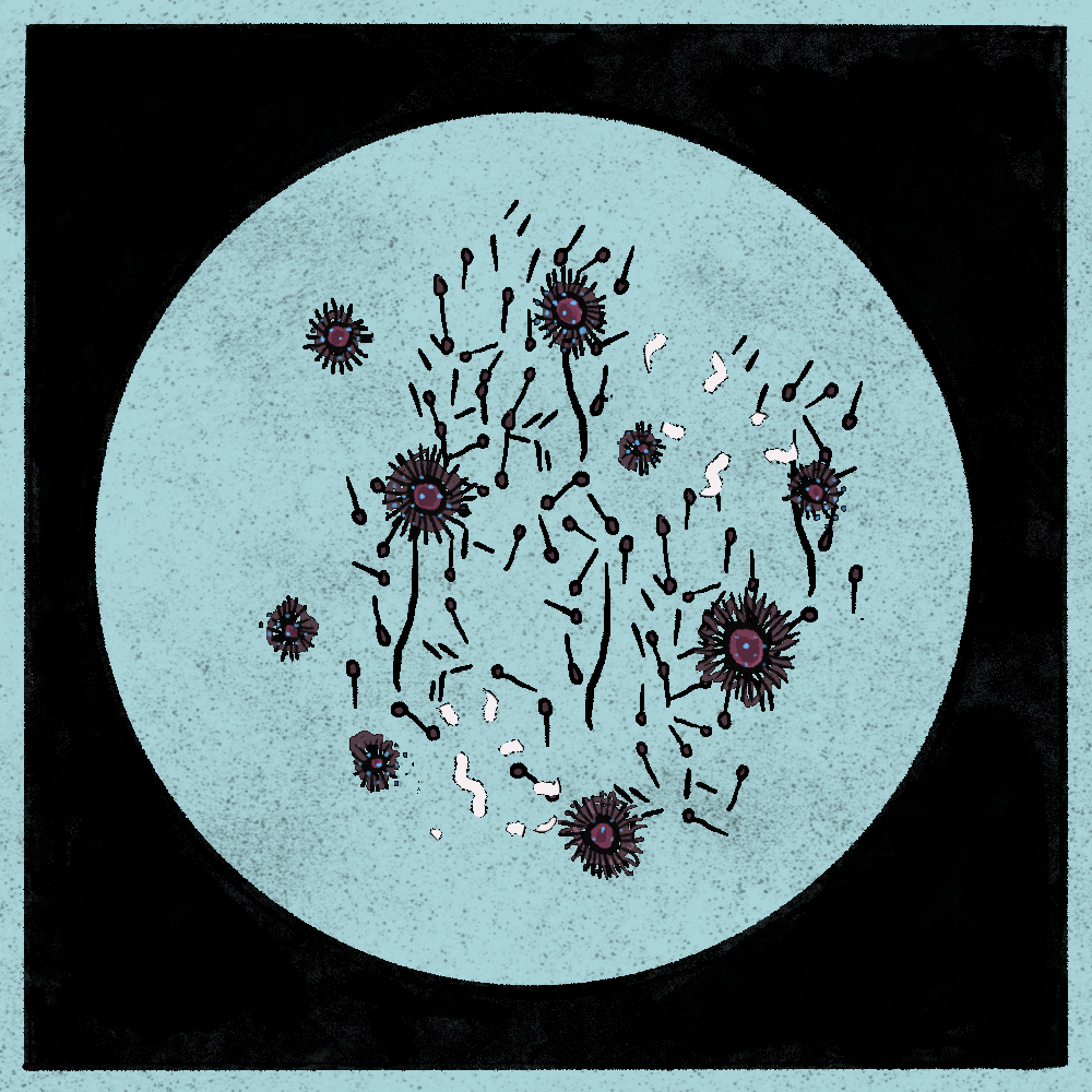 Microbes #173