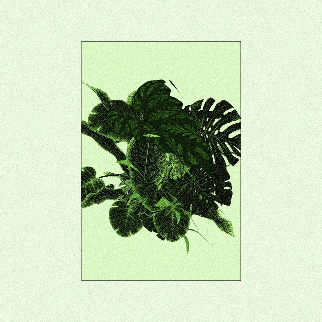 Botany #27