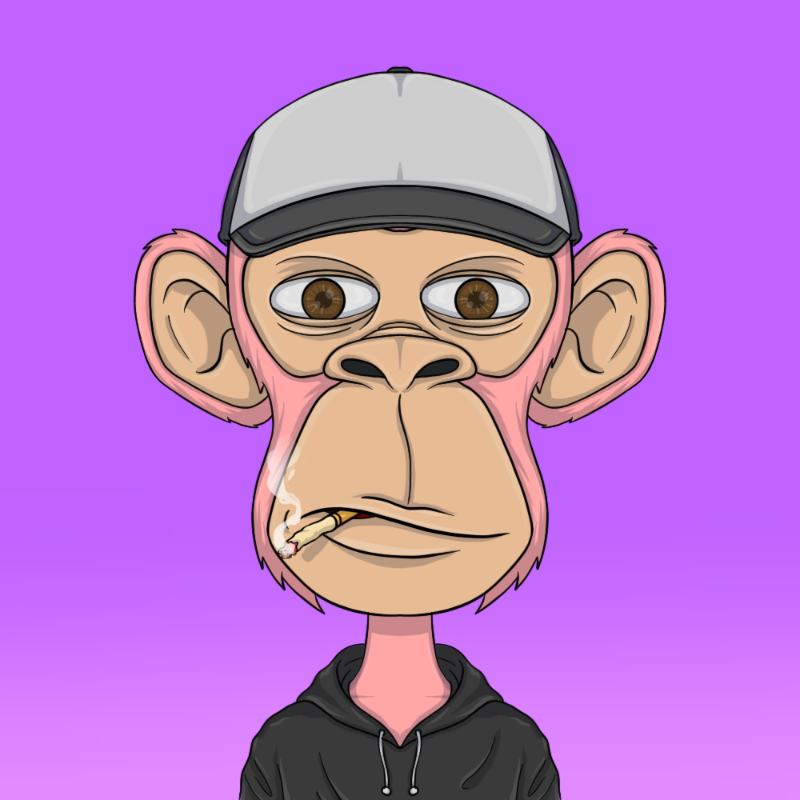 chimpantez #934