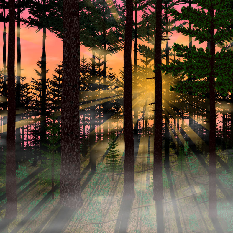 Forest Sunrise #28