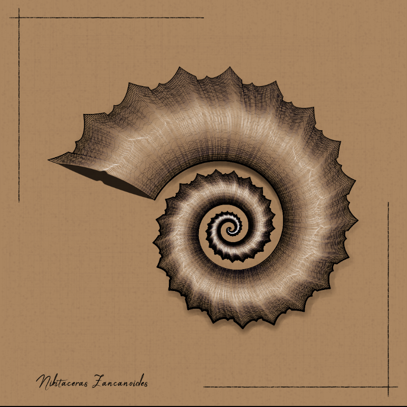 Ammonites #43