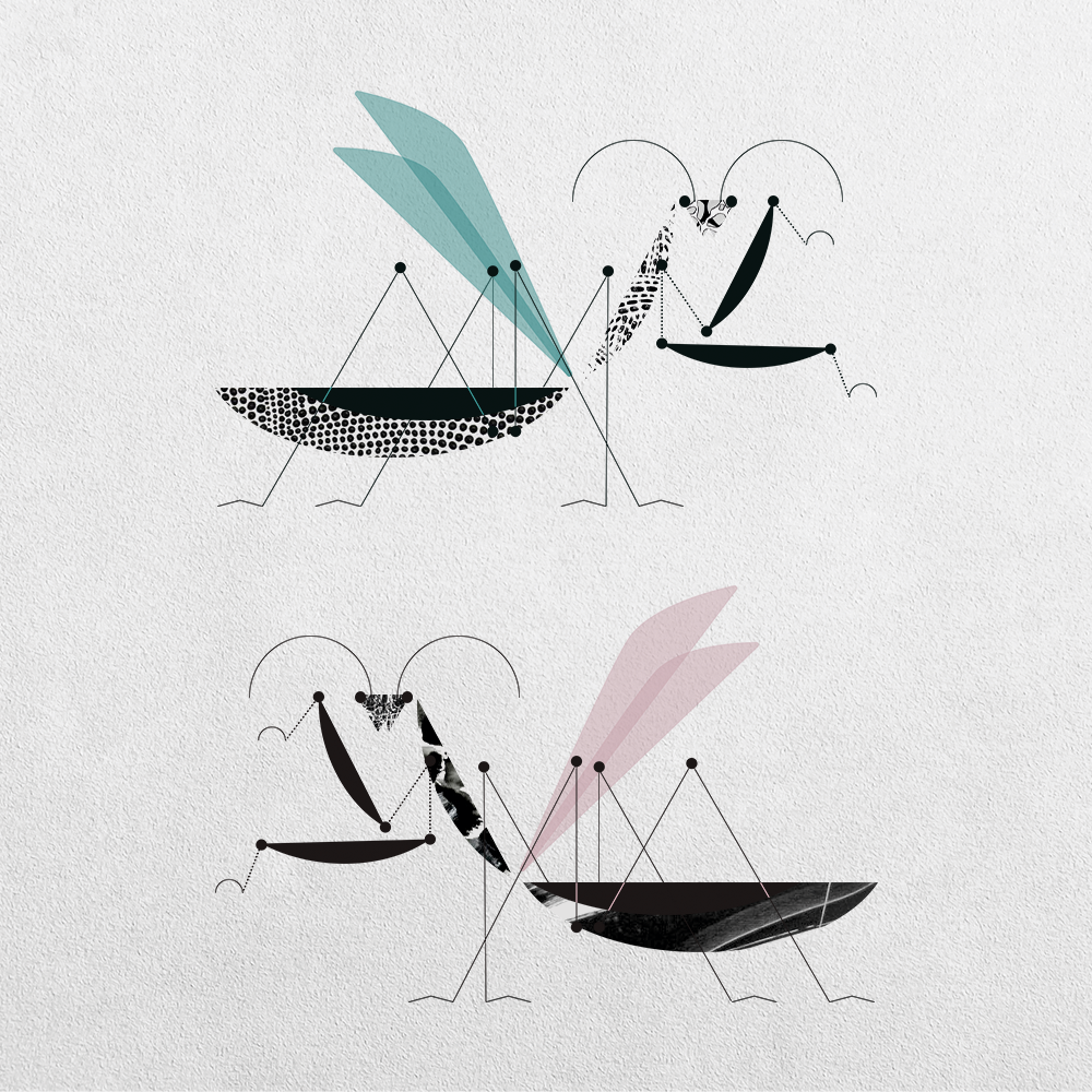 Mantis Abstraction #17