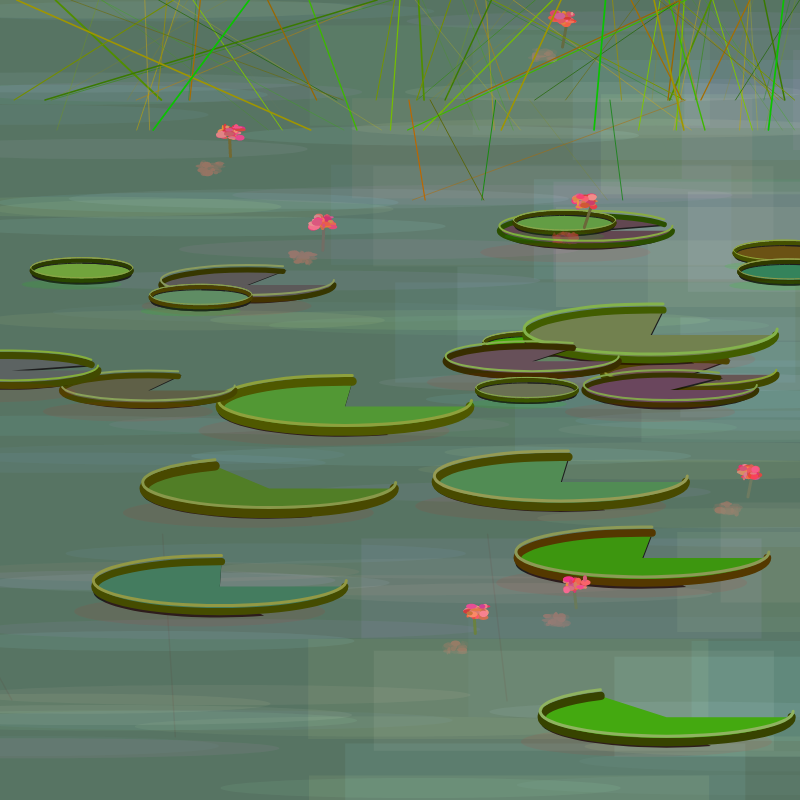 Water Lilies