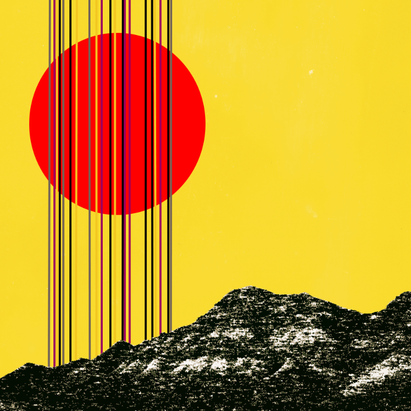 collage #1  from nature #14