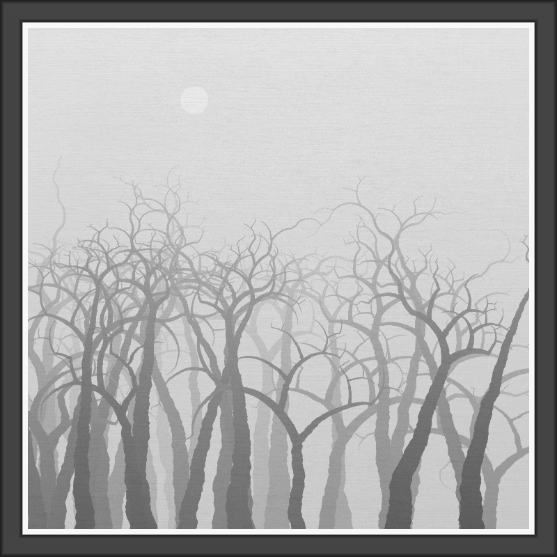 The Foggy Trees #112