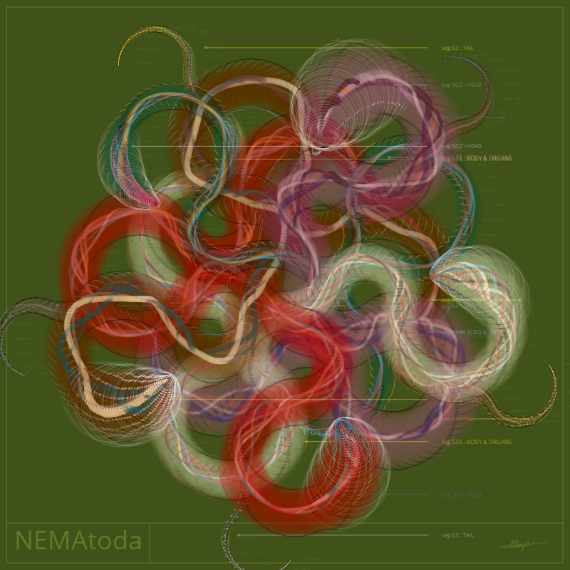 NEMA #58