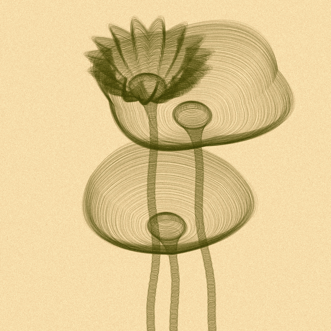 Code Flowers #5