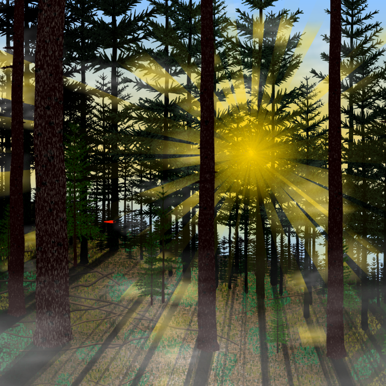 Forest Sunrise #22