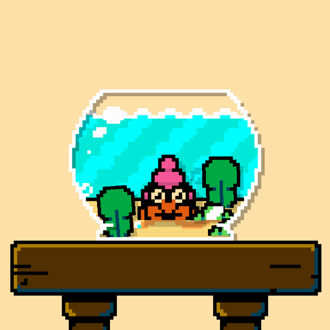 hermit crab #211