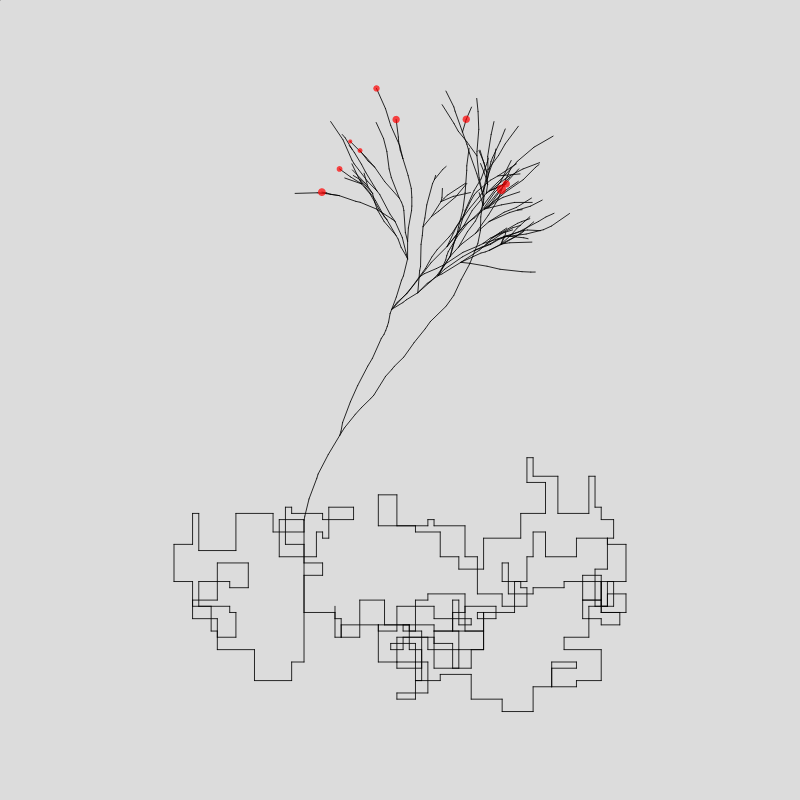 Algorithmic Tree #4