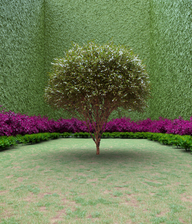 Garden of Imagination #43