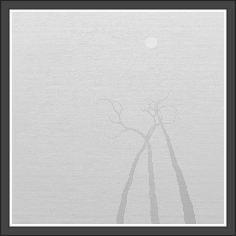 The Foggy Trees #102