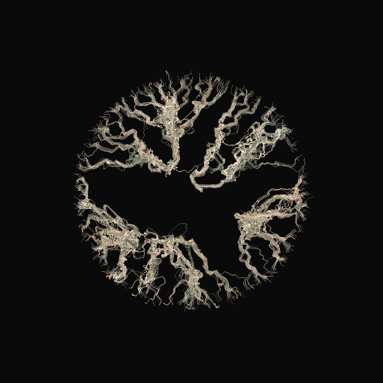 Ginseng #109