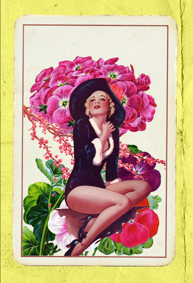Paper Pinups  #16