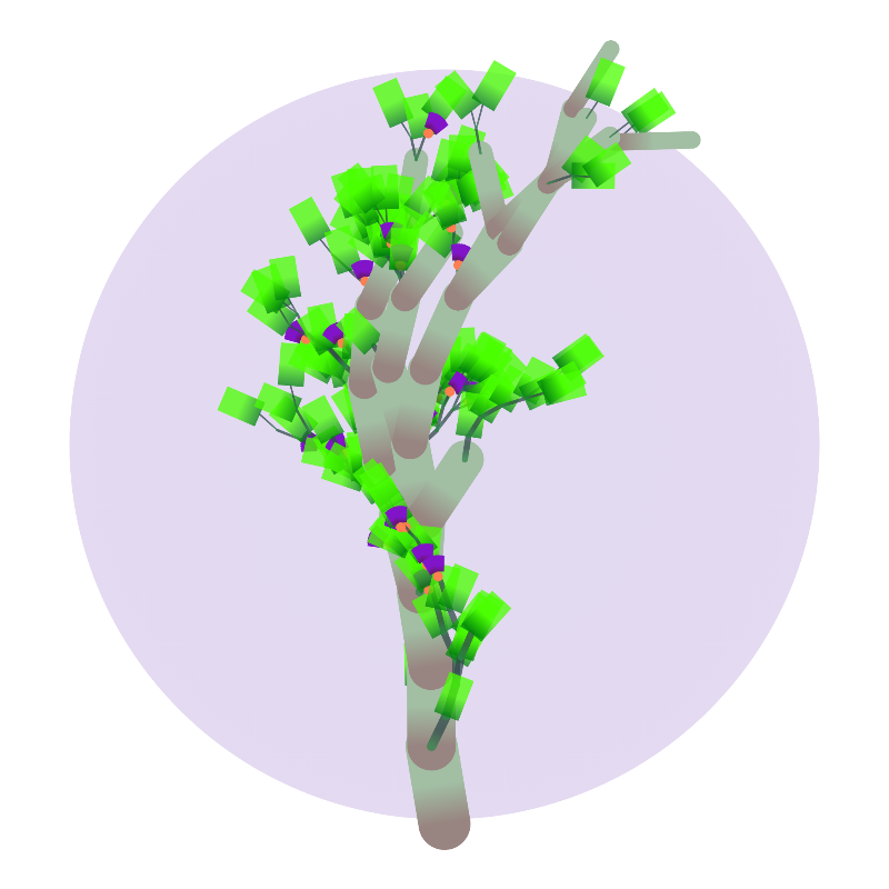 Some generative trees #29