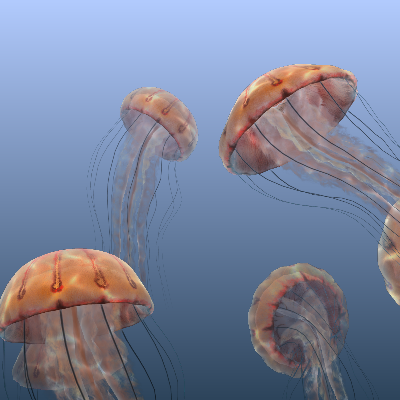 Jellyfish #9