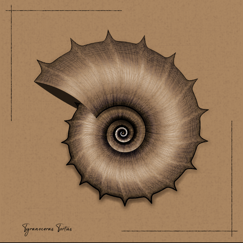 Ammonites #34