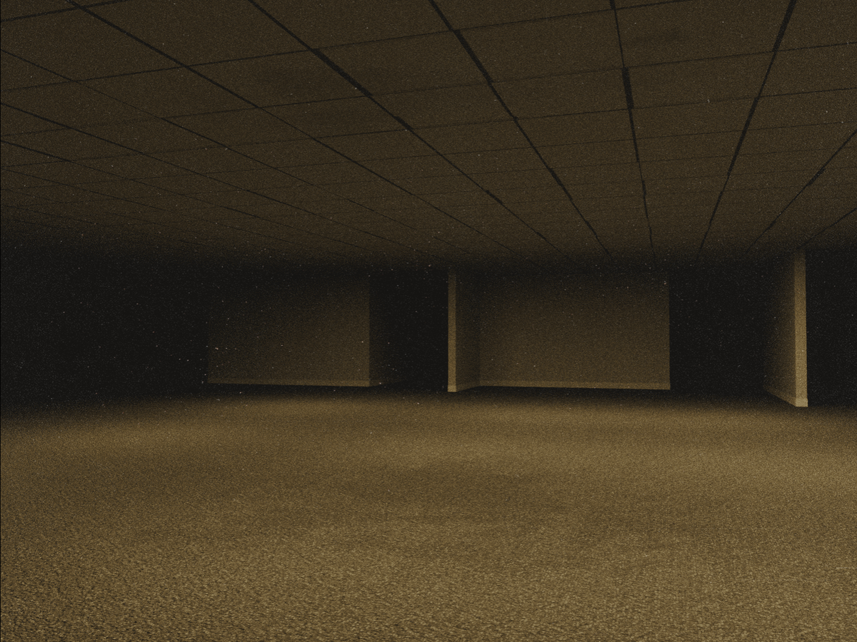 Backrooms Level 455 #27