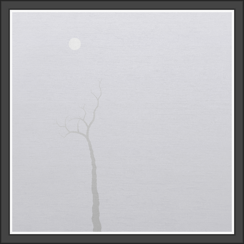 The Foggy Trees #94