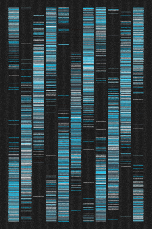 Sequence #129