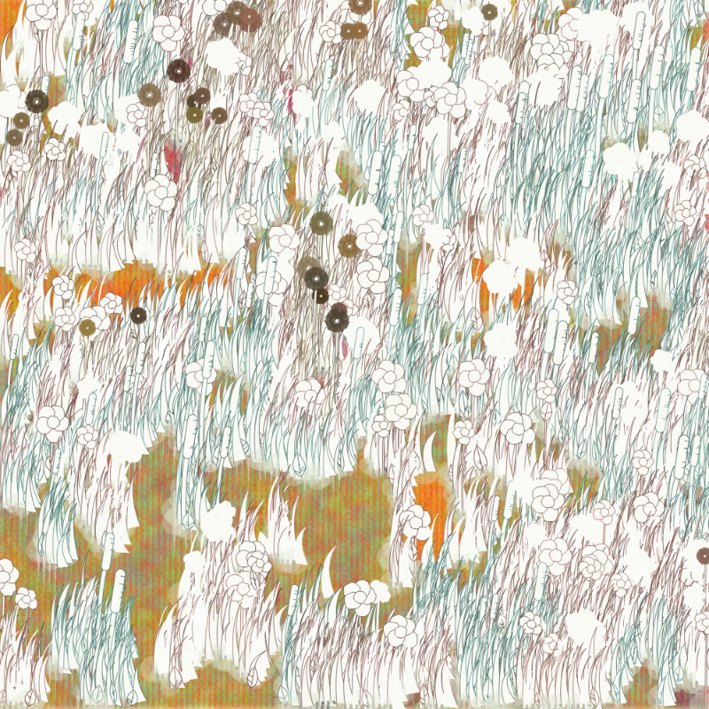 Petri 1500 #61