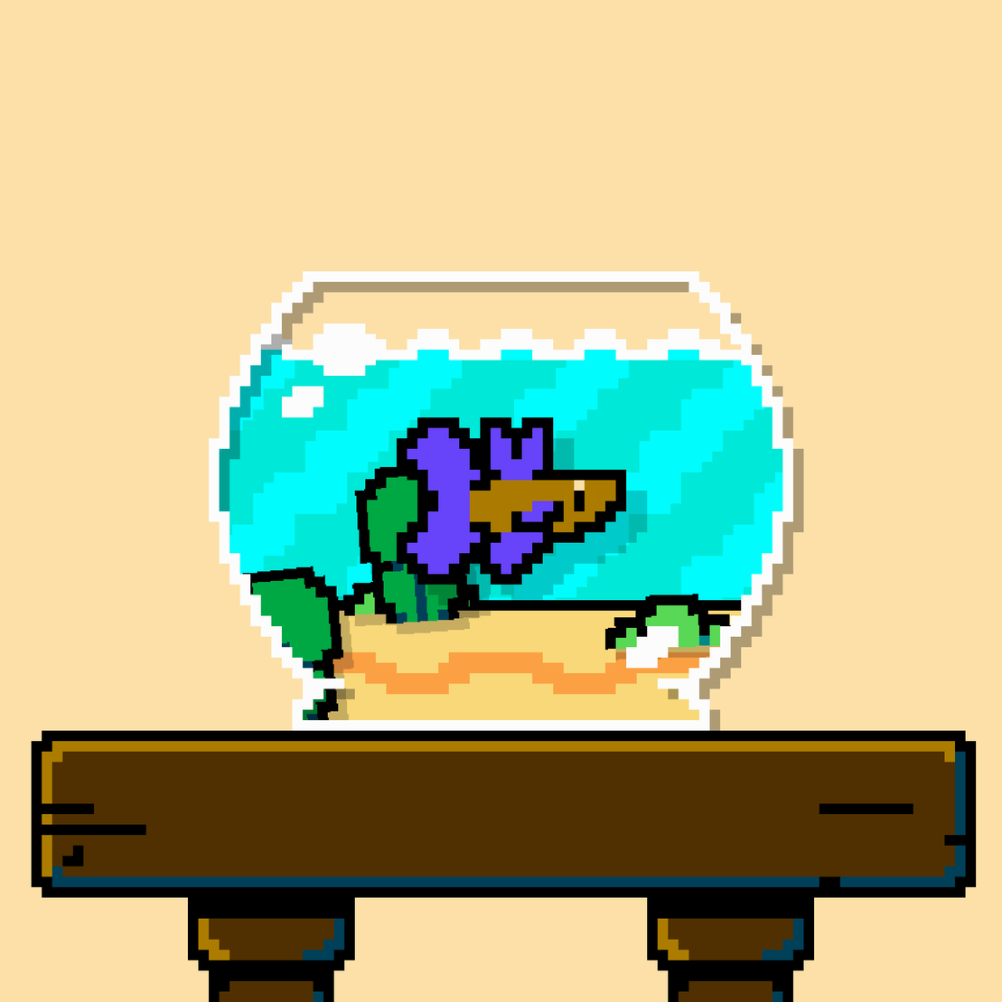 betta fish #144