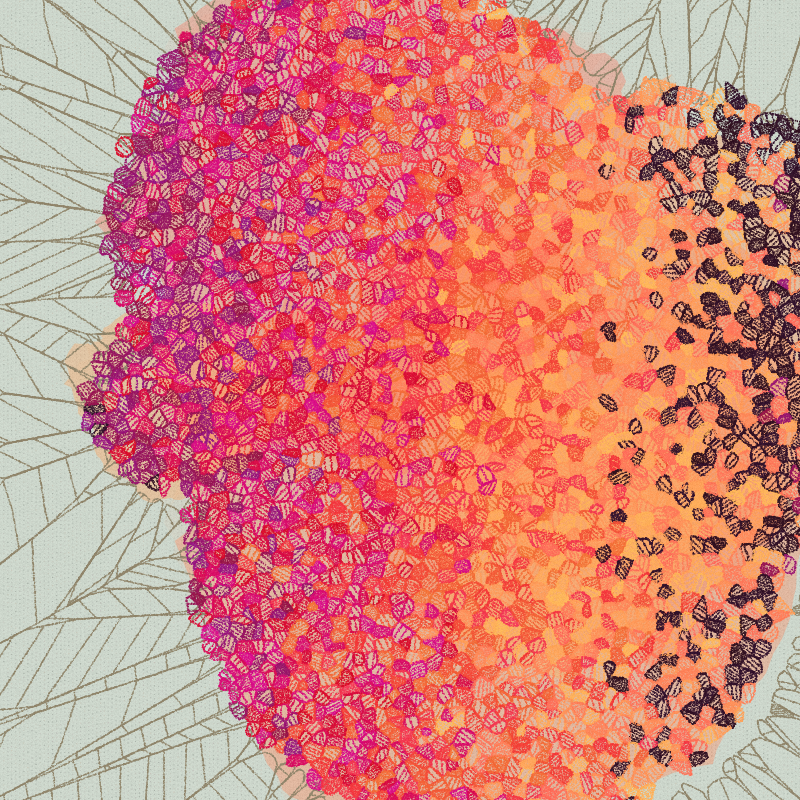 Fractured Cells #7