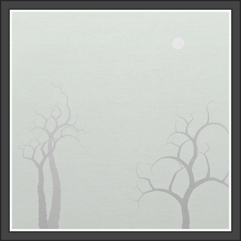 The Foggy Trees #128