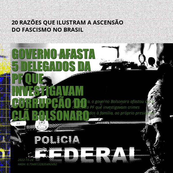 B4D - Brazil4Democracy #46