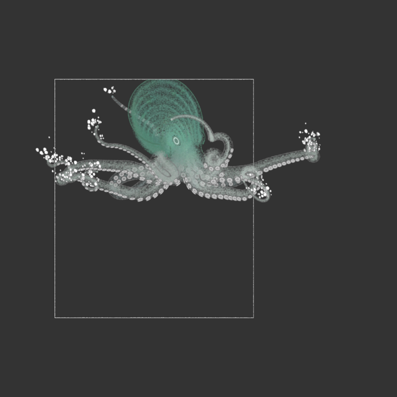 the generative octopuses #11