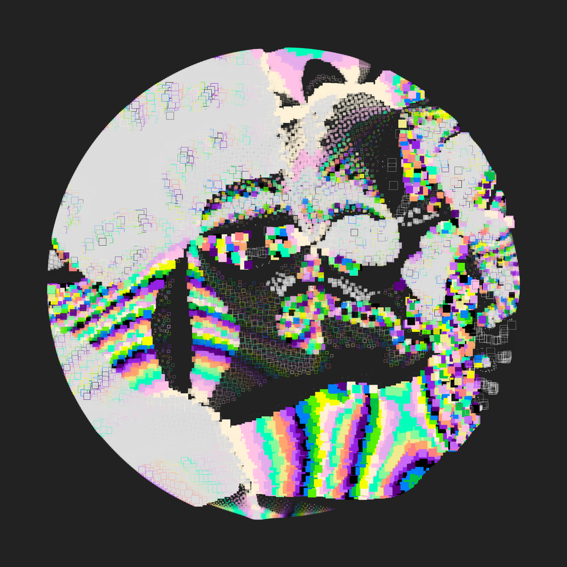Still C #19756